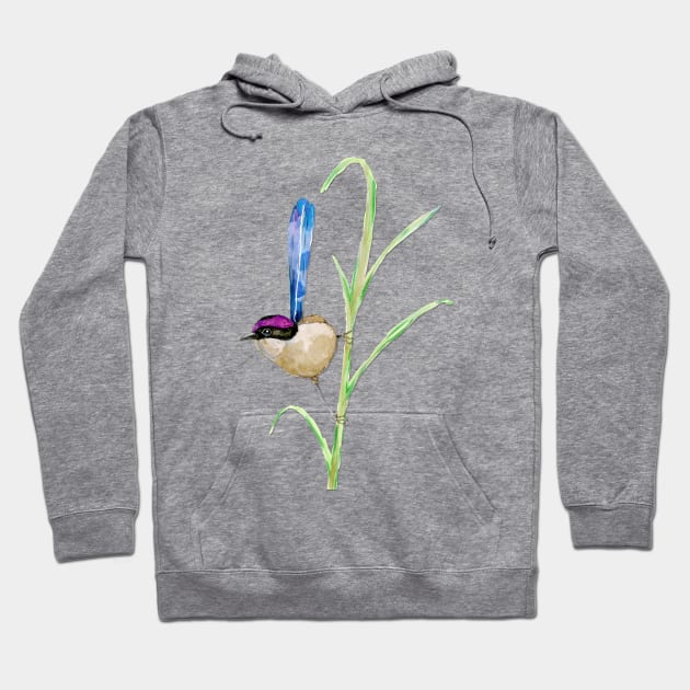 Purple-crowned fairywren Hoodie by Bwiselizzy